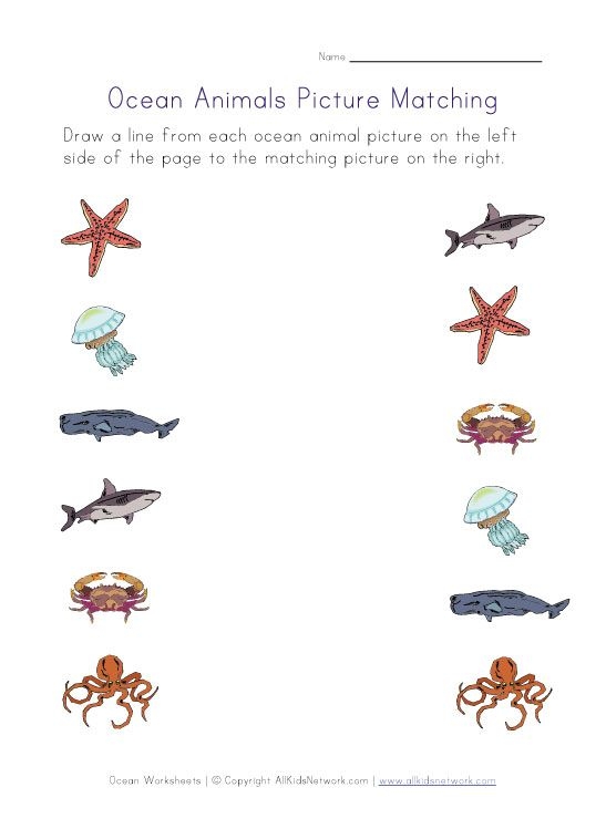Ocean Animal Printables Preschool