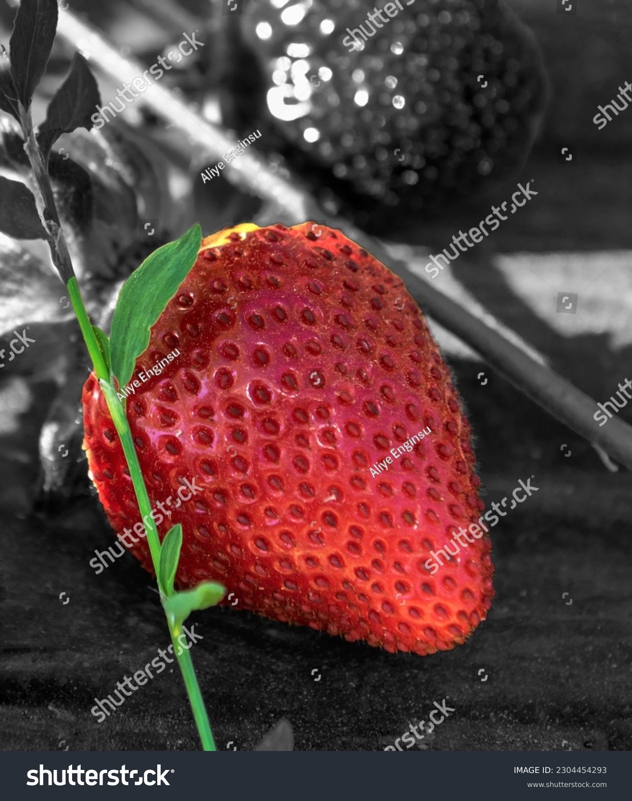 beautiful fruits pictures
