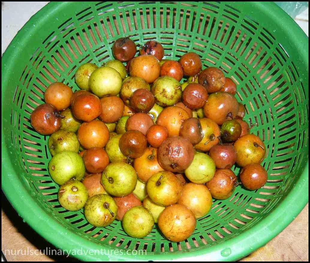 bangladeshi fruits name with pictures