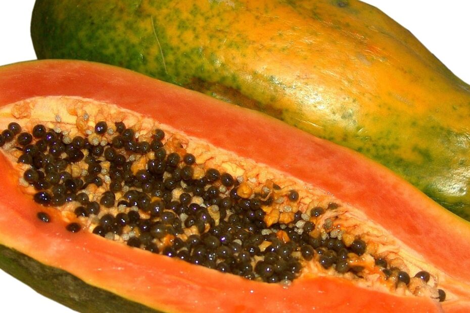 Papaya Description Cultivation Uses U0026 Facts Britannica