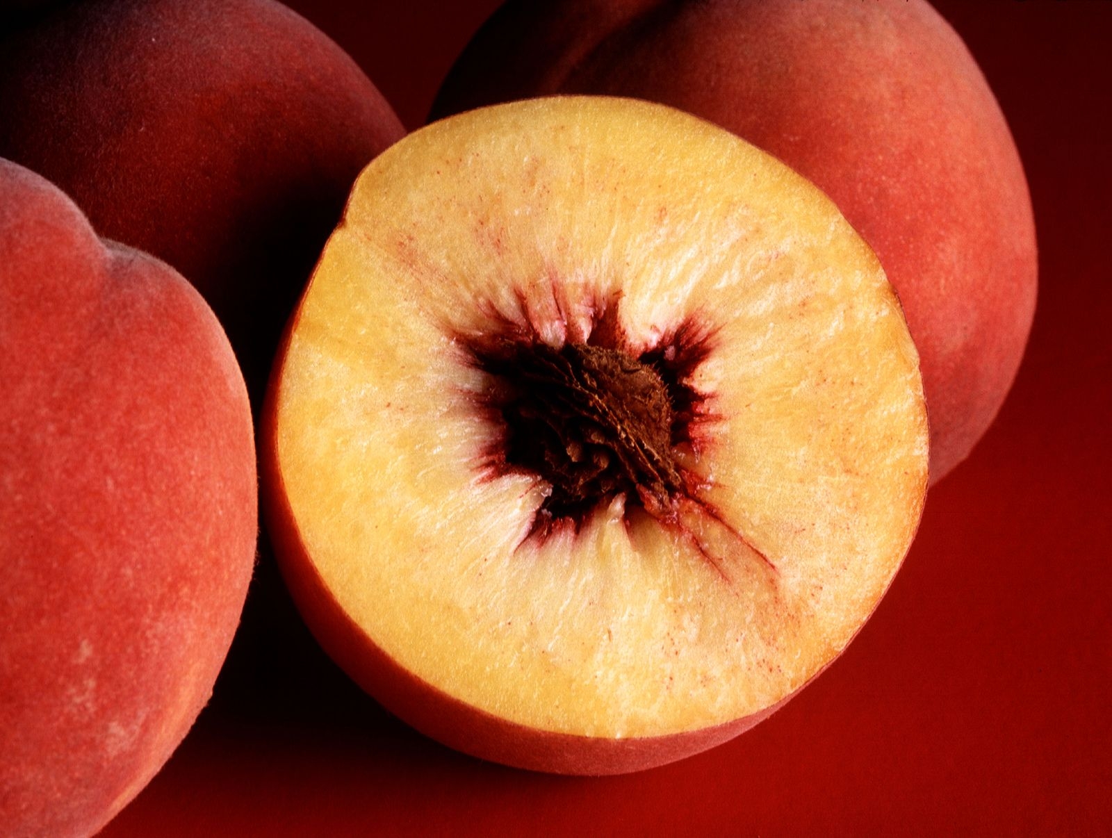 Peach Fruit Description History Cultivation Uses U0026 Facts Britannica