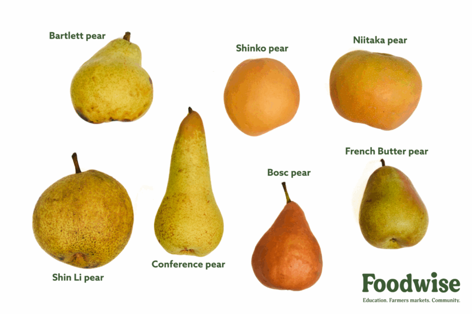Pear Guide Sweet To Tart Buttery To Crisp Foodwise