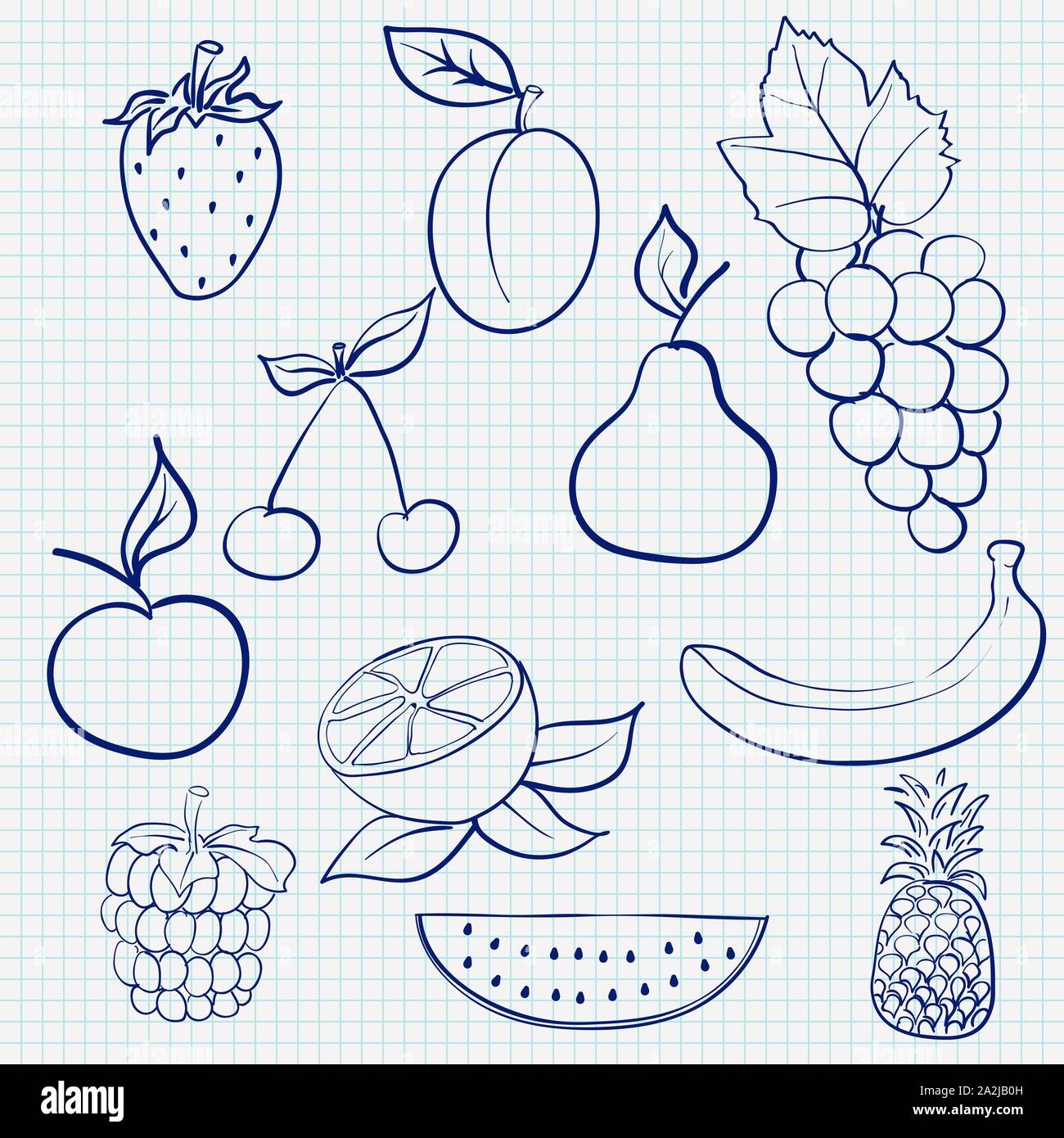 Pencil Drawing Fruit Hi res Stock Photography And Images Alamy