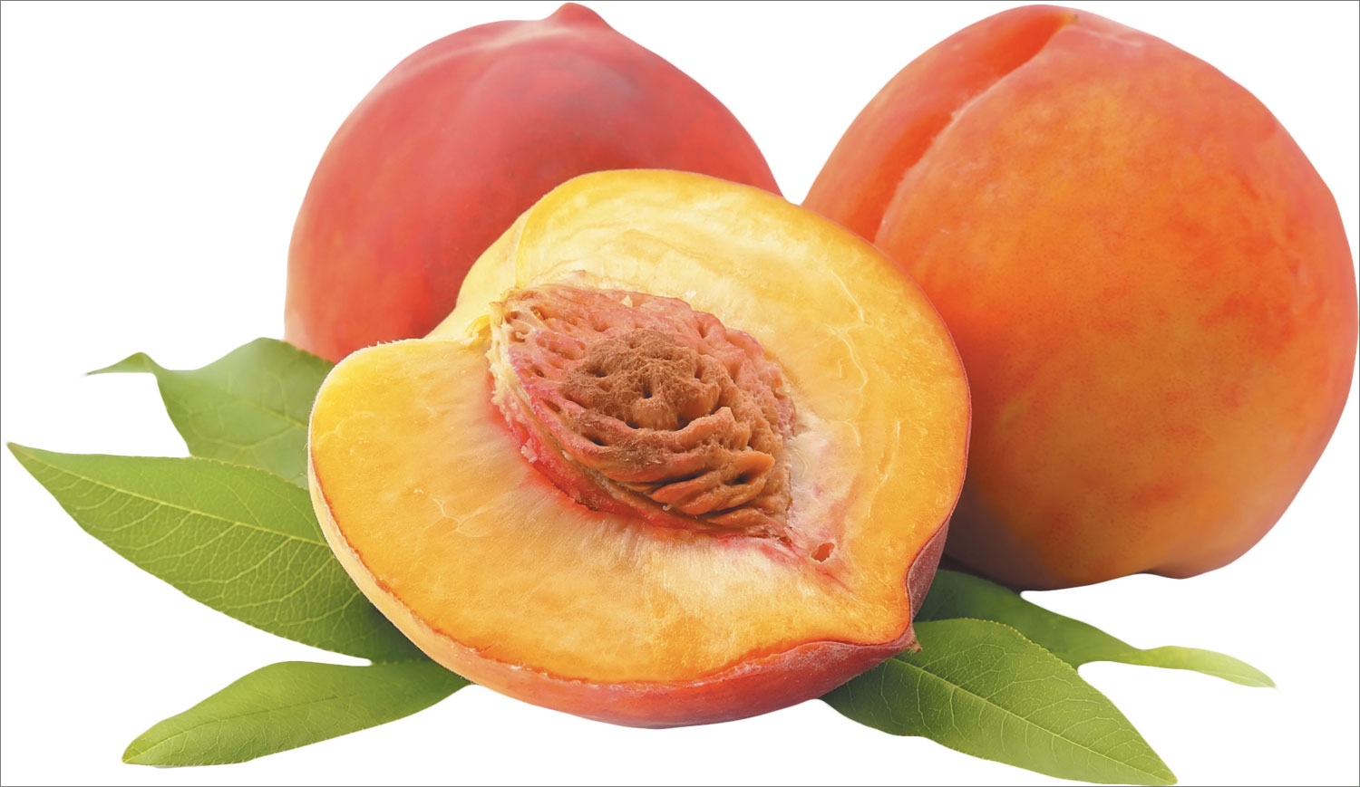 Pick Peaches For Healthy Nutrients Tufts Health U0026 Nutrition Letter