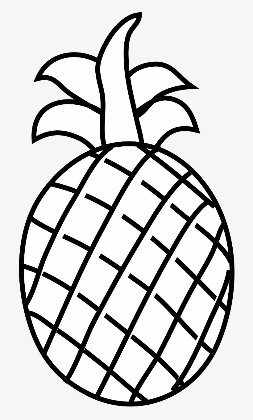 Pineapple Fruit Food Fruits Clipart Black And White Transparent PNG 700x1280 Free Download On NicePNG