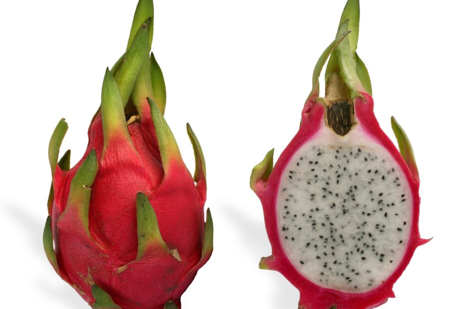 Pitaya Wikipedia