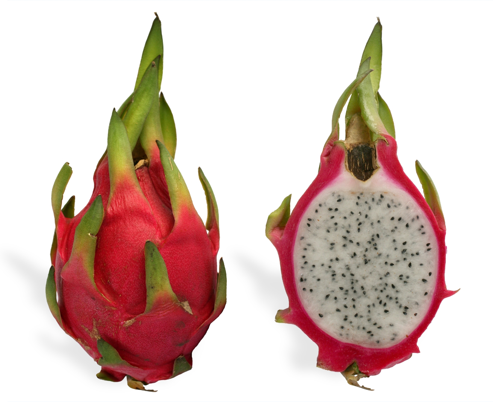Pitaya Wikipedia