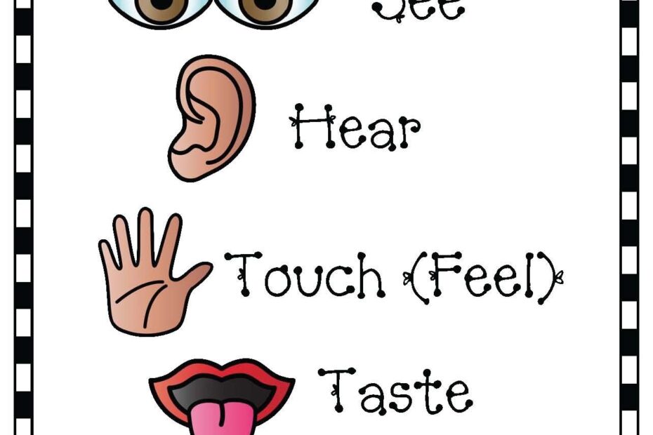 Preschool 5 Senses Worksheets Free Printable Five Senses Wor