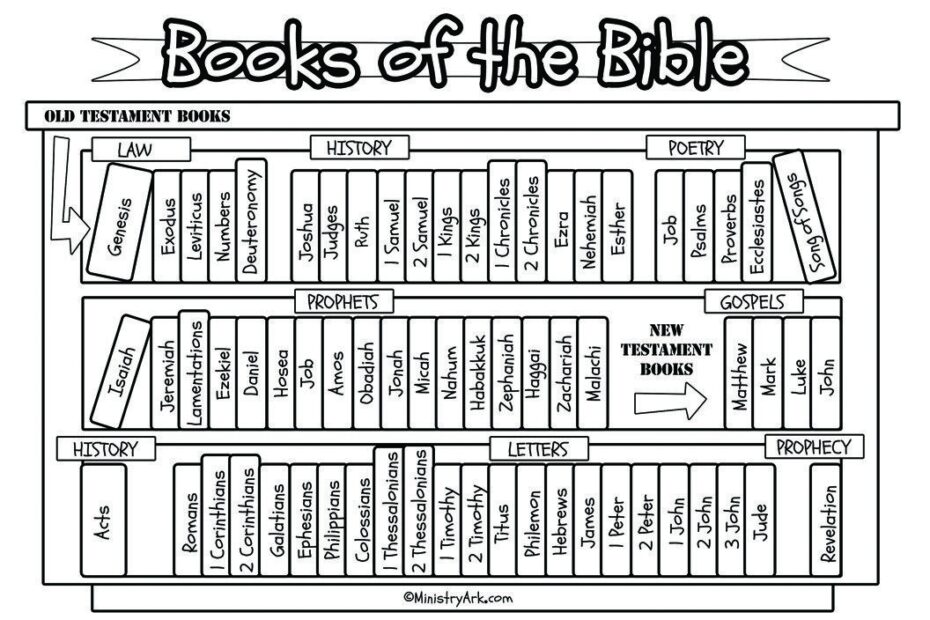 Printable Books Of The Bible Activity Sheet