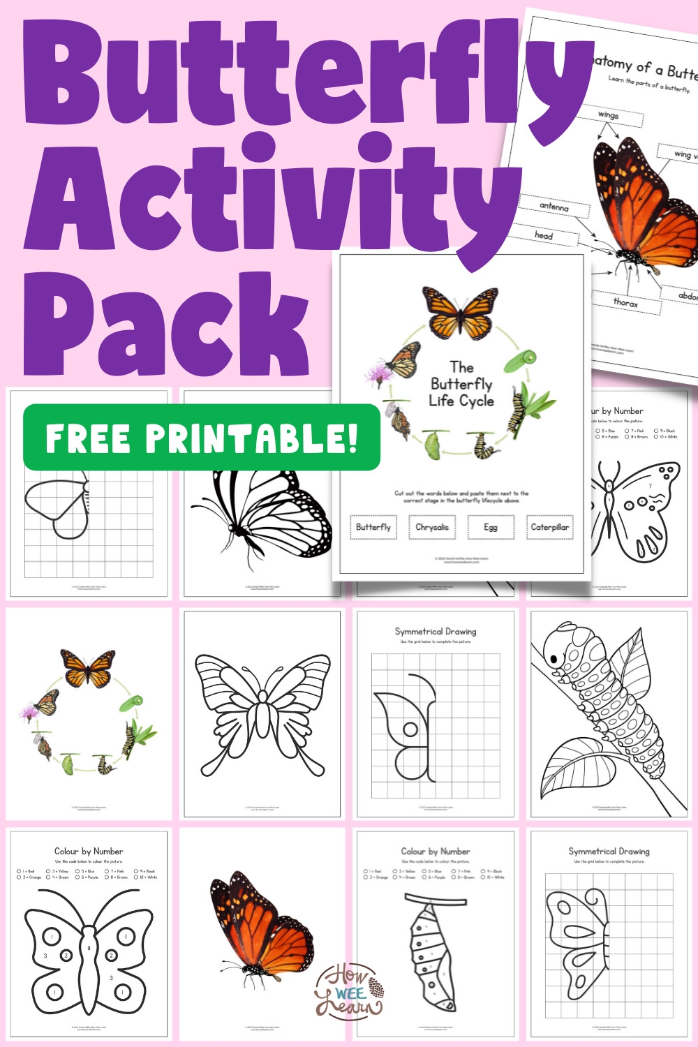 Printable Butterfly Worksheets How Wee Learn