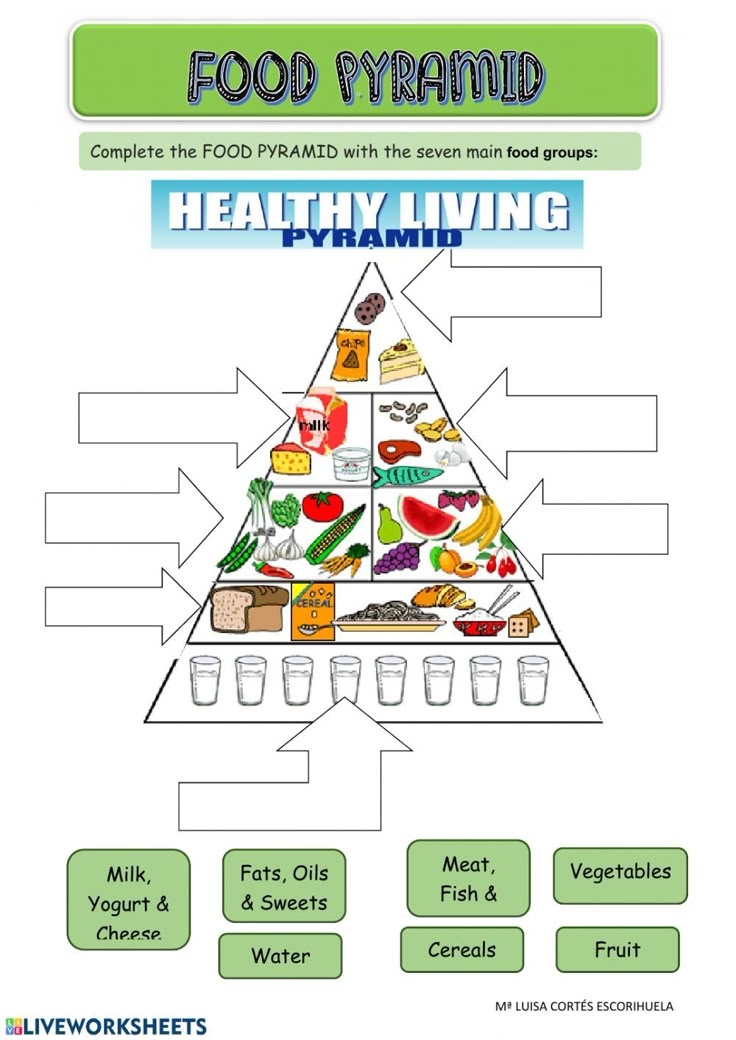 Printable Food Pyramid Activities