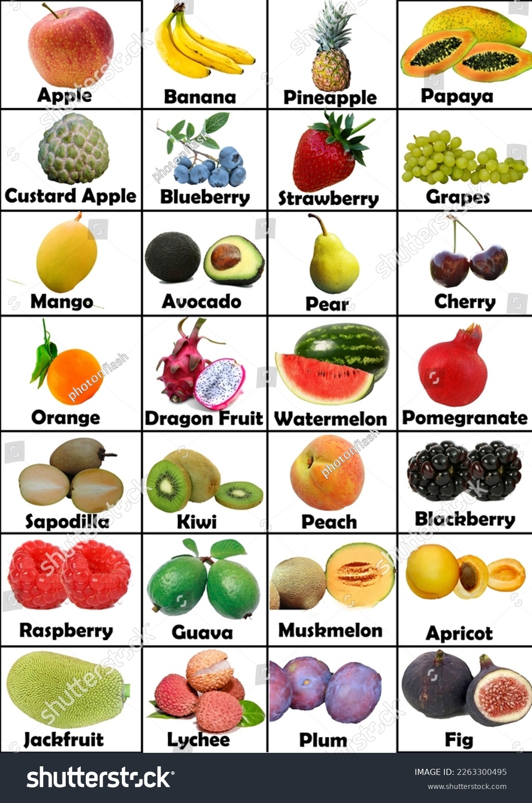 Printable Fruits Chart Kids Learning Stock Illustration 2263300495 