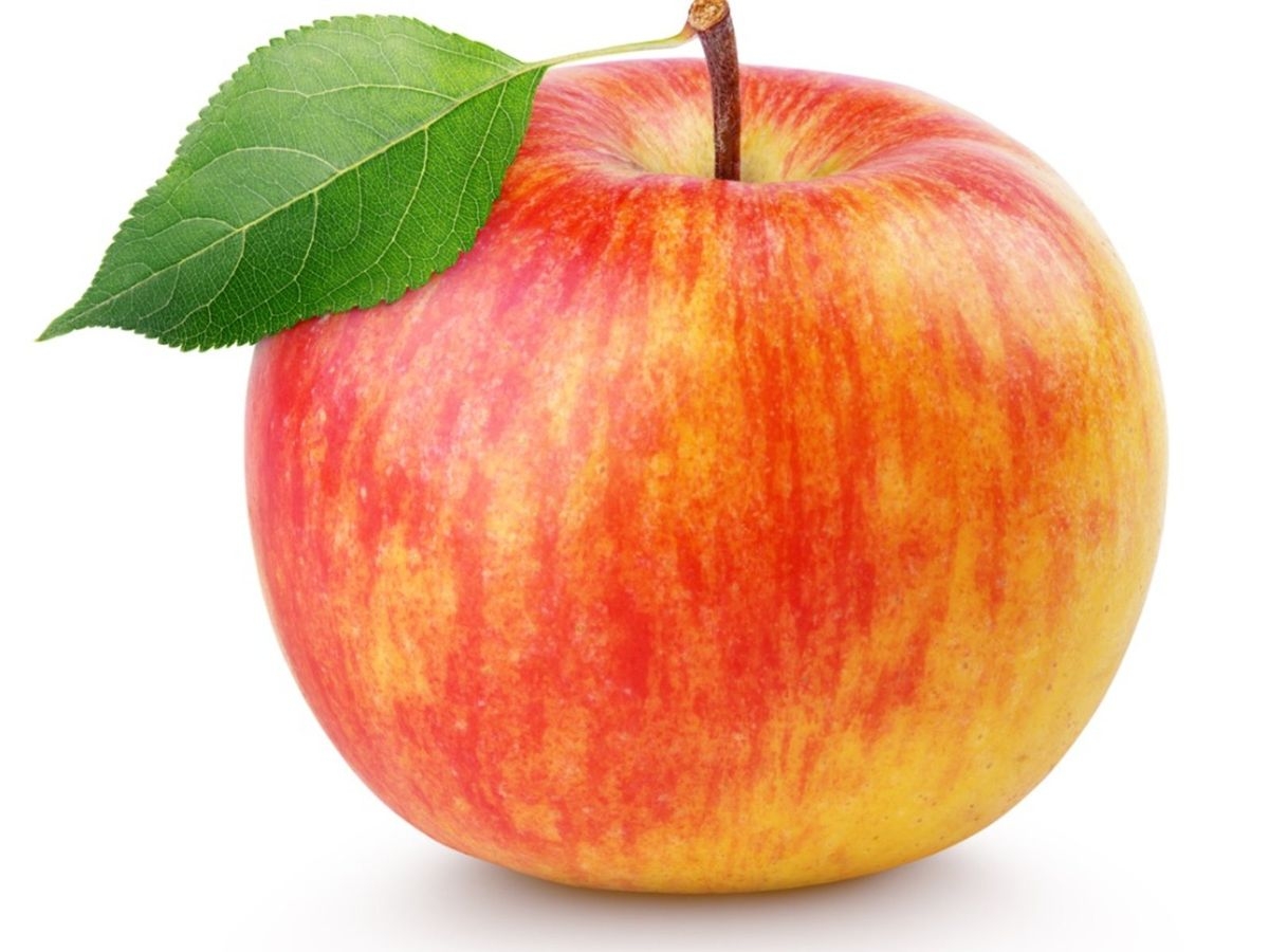 Pristine Apple Facts Learn How To Grow Pristine Apples At Home Gardening Know How
