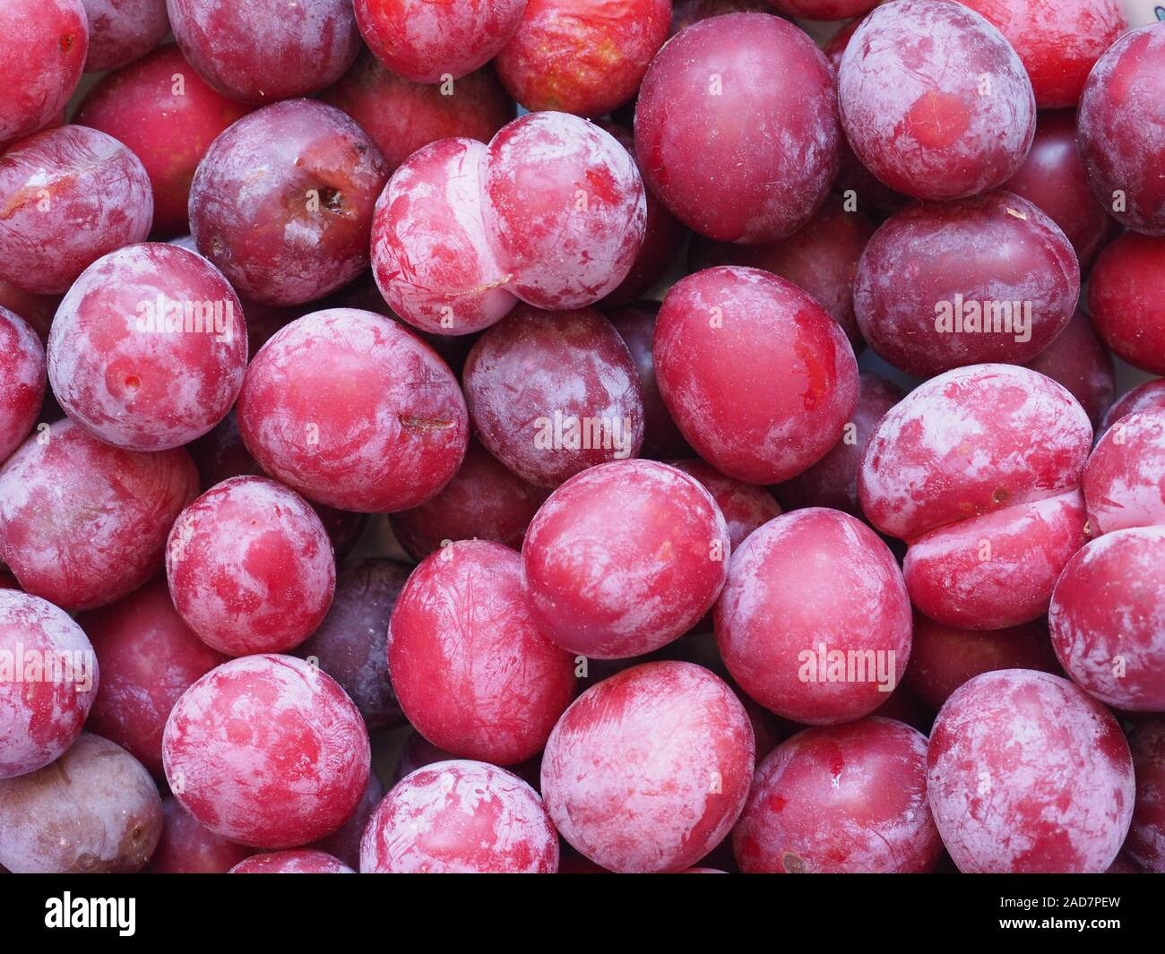 Prune Fruit Food Stock Photo Alamy