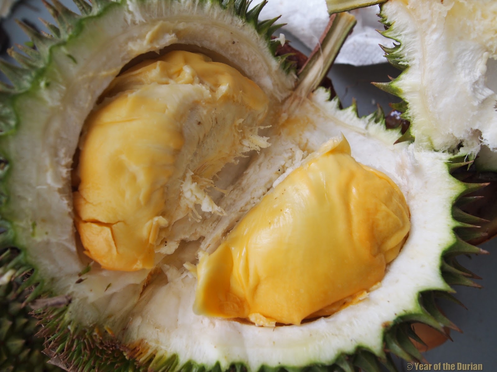 puerto rican fruits pictures