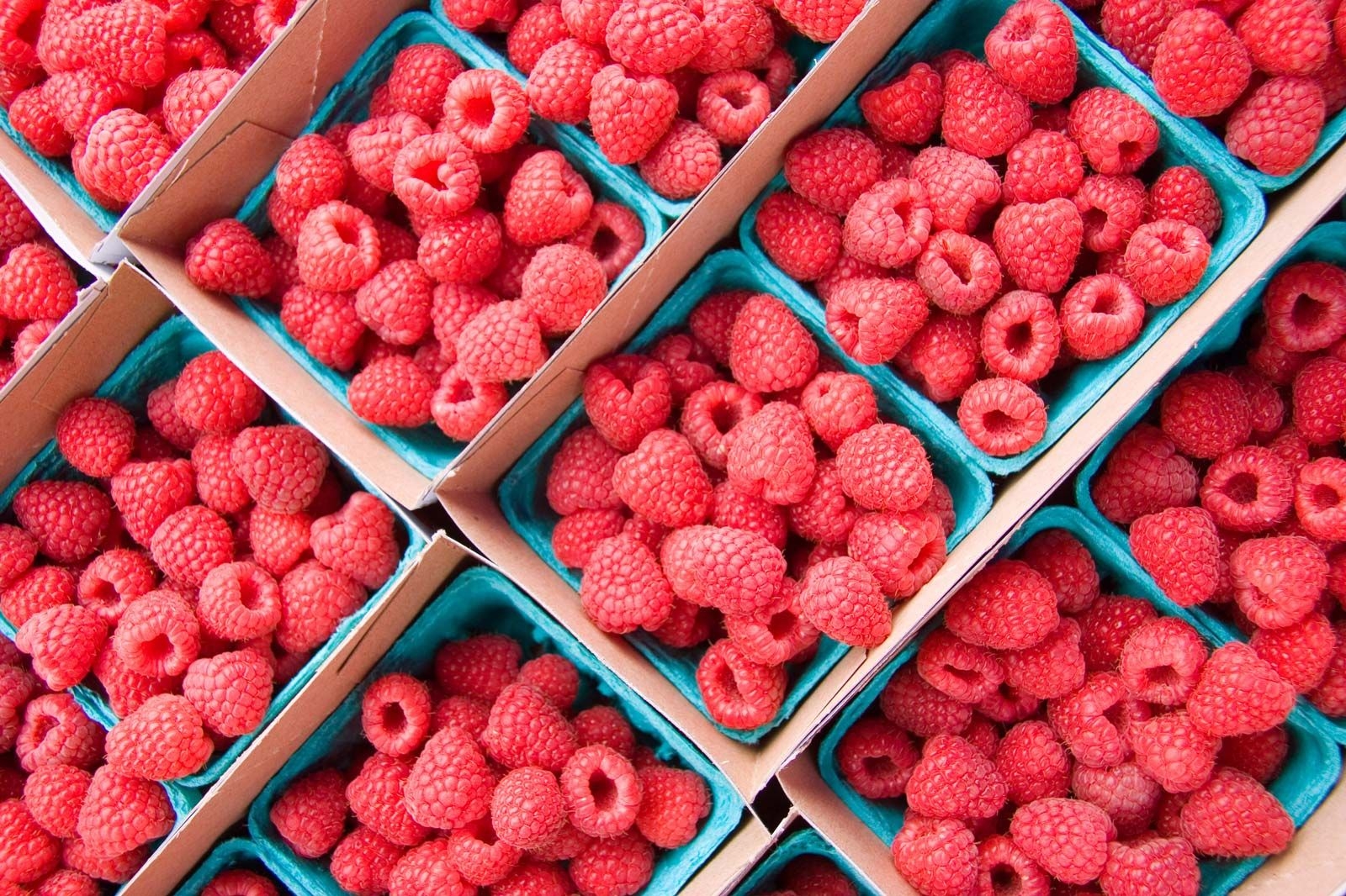 Raspberry Description Fruit Cultivation Types U0026 Facts 