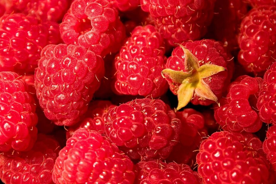 Raspberry Description Fruit Cultivation Types U0026 Facts