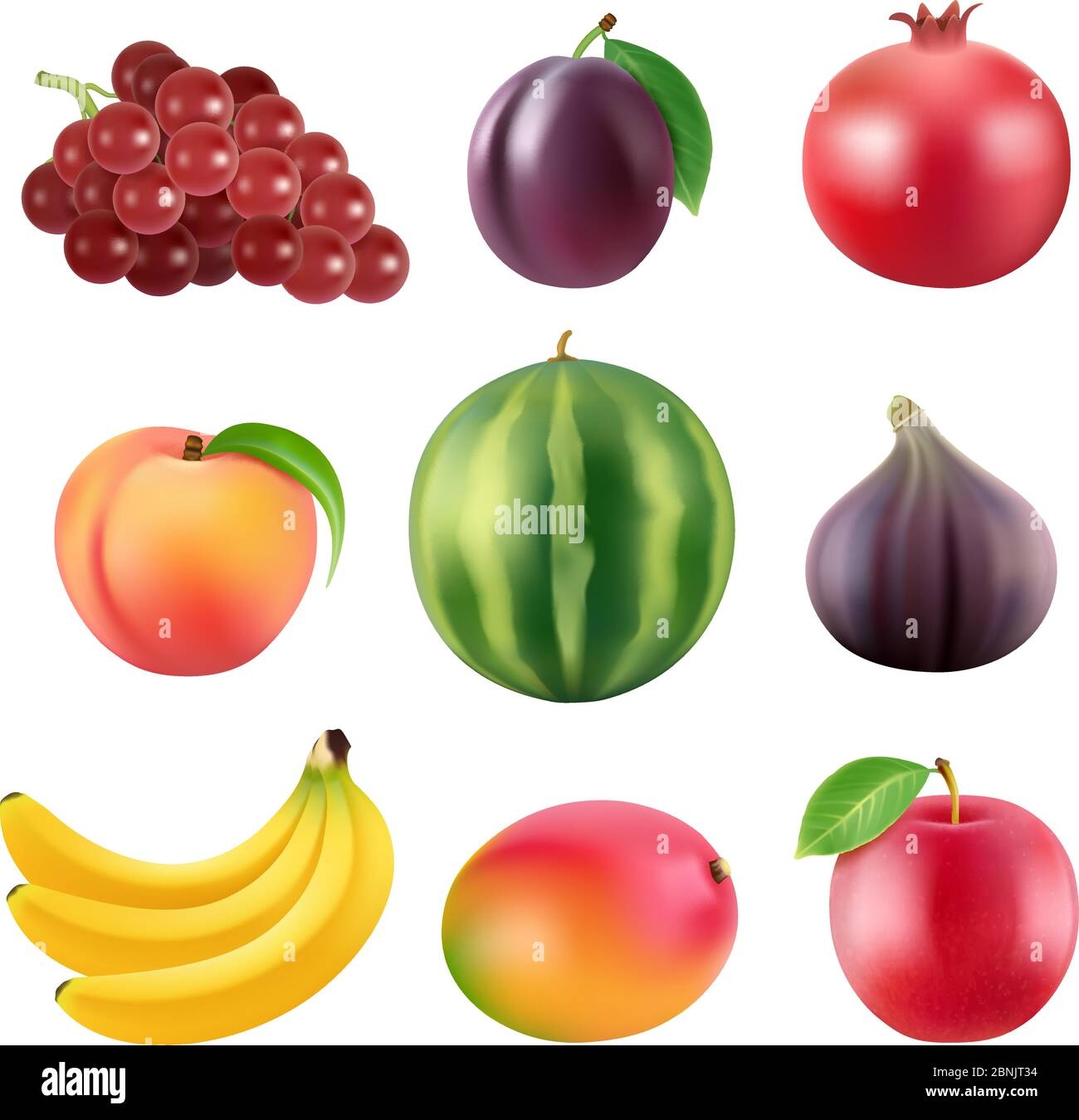 Realistic Vector Illustrations Of Various Fruits Stock Vector Image U0026 Art Alamy