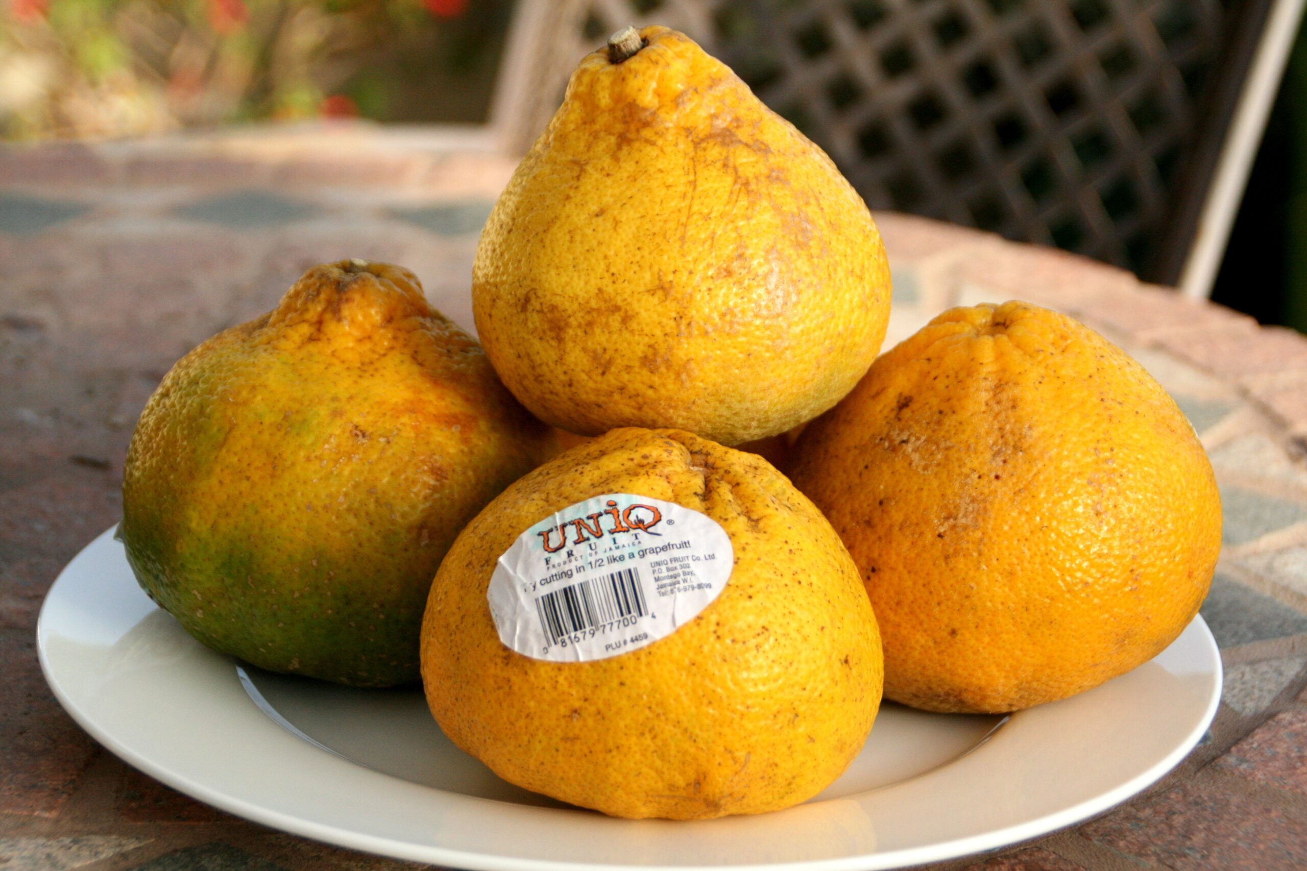 ugli fruit pictures