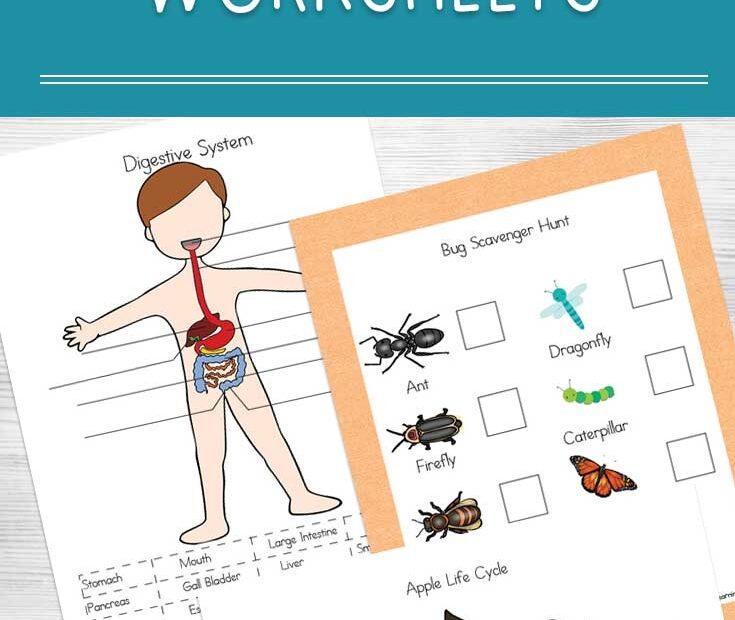 Science Free Printable Worksheets