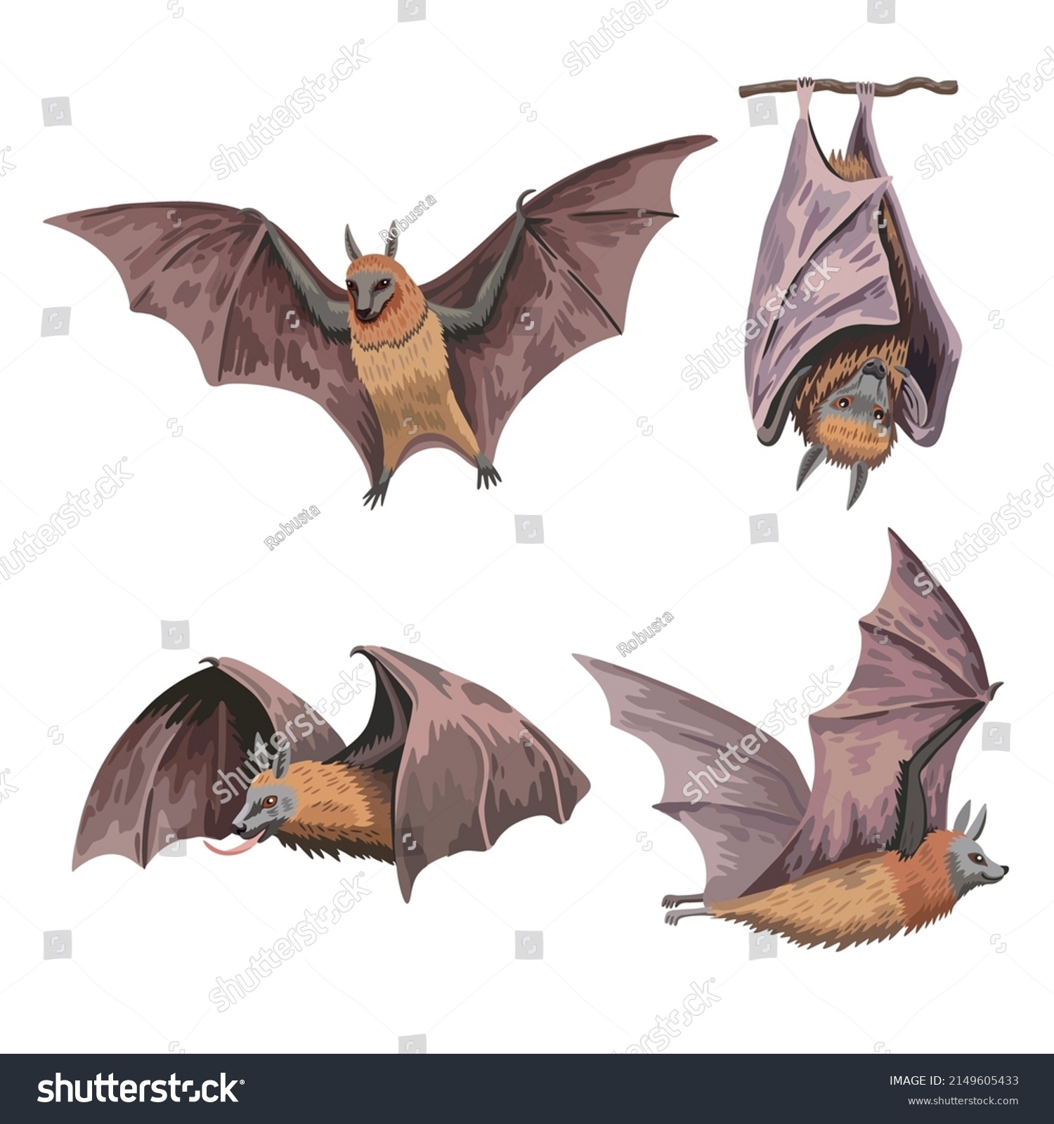 Set Cute Fruit Bats Flying Fox Stock Vector Royalty Free 2149605433 Shutterstock