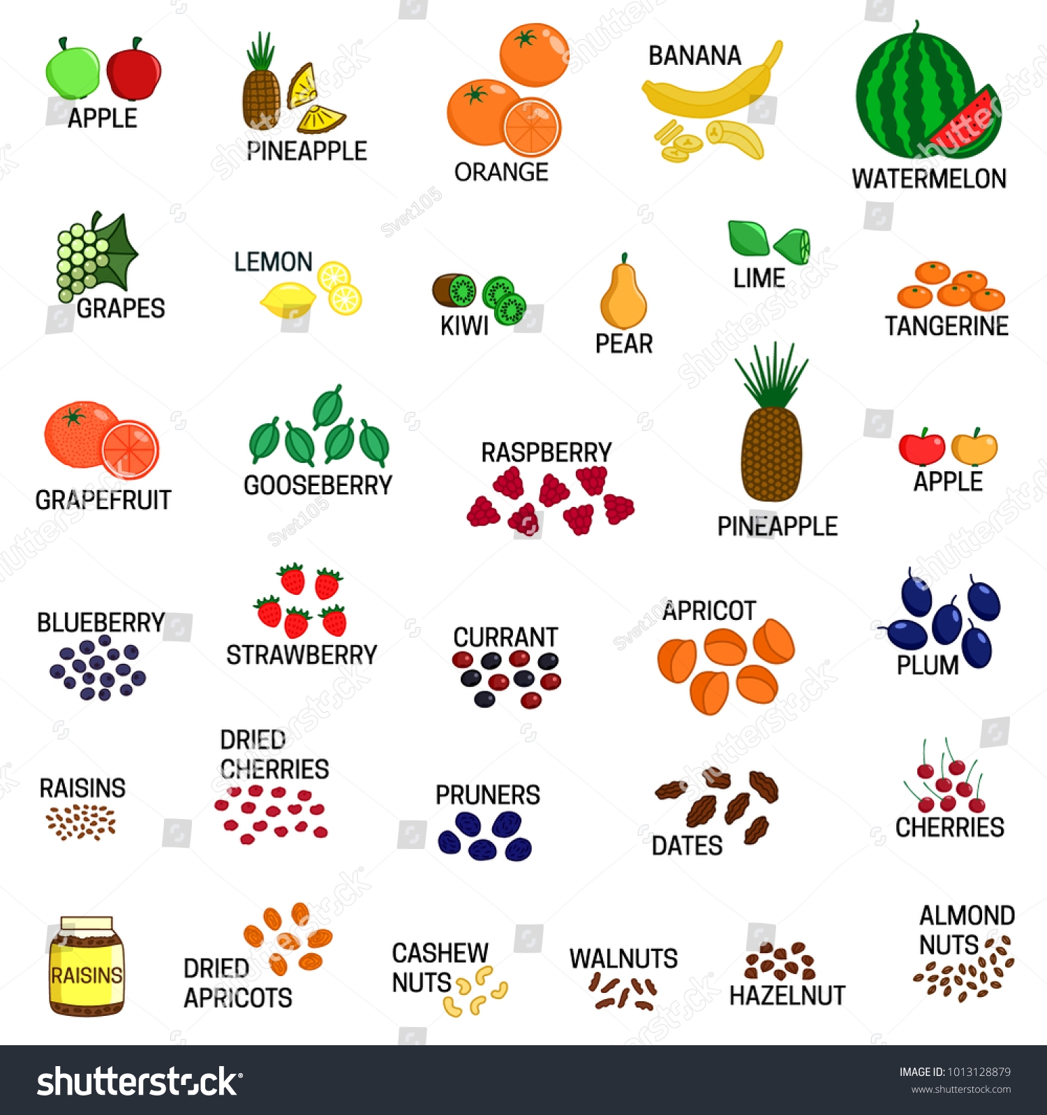 Set Different Kinds Fruit Dried Fruits Stock Vector Royalty Free 