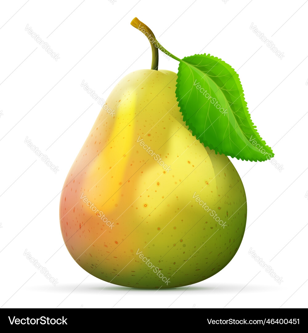 single fruits pictures