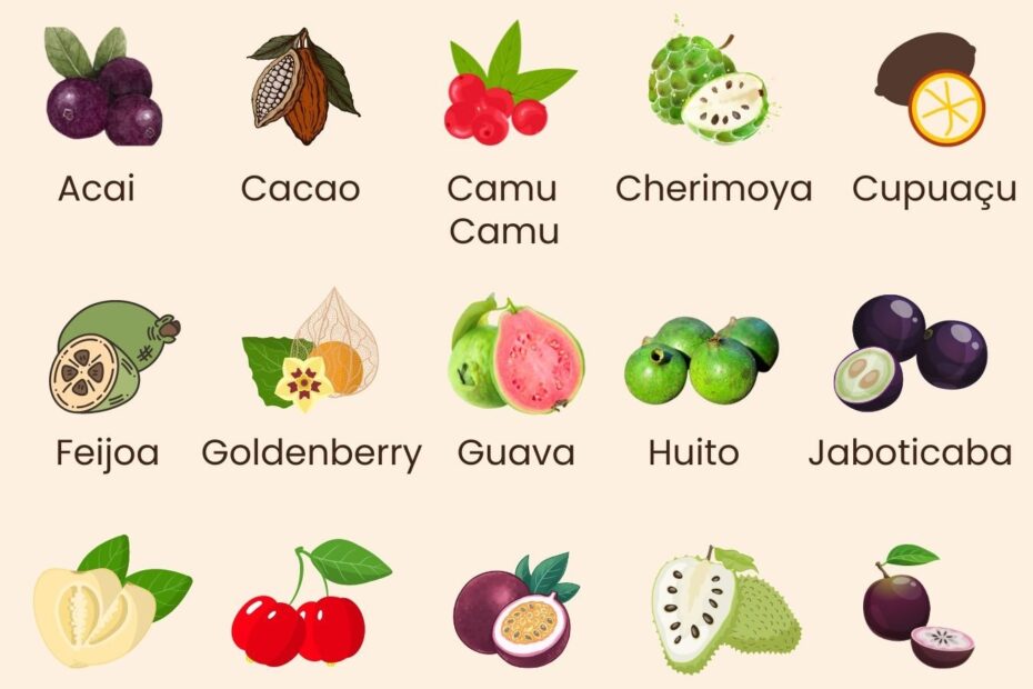 South American Fruit A Complete Nutrition Guide Your Latina
