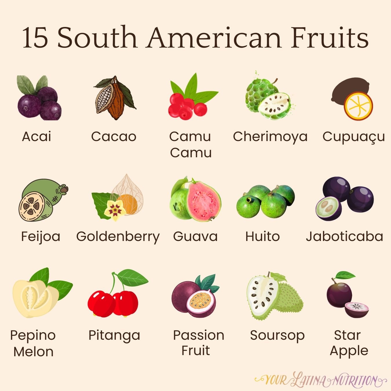 South American Fruit A Complete Nutrition Guide Your Latina 