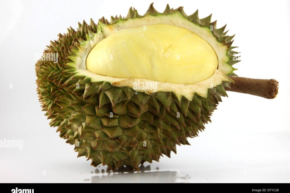 Spiky Fruit Hi res Stock Photography And Images Alamy