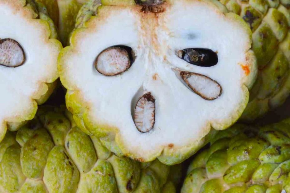 Sugar Apple Custard Apple Sweet Sop Atis Fruit TipBuzz