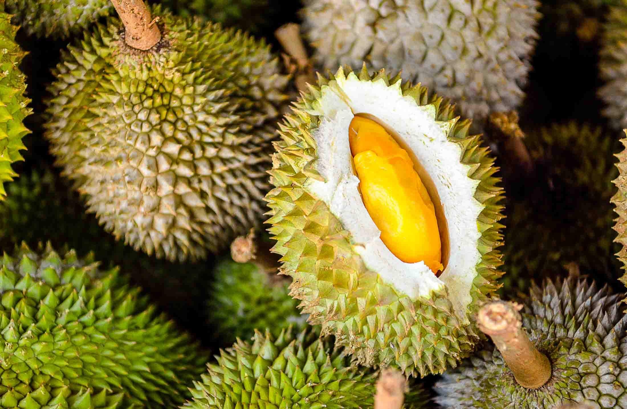 thai fruits names with pictures
