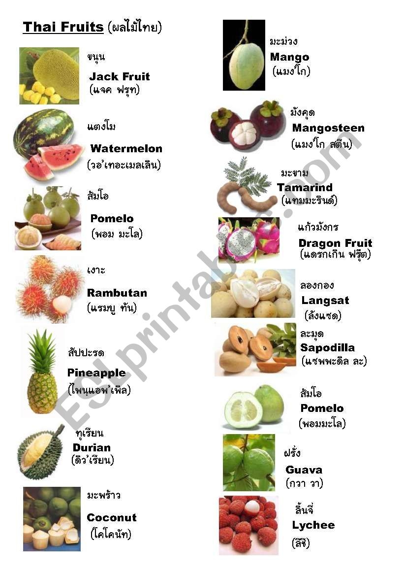 Thai Fruits Summary Sheet ESL Worksheet By Tammycat