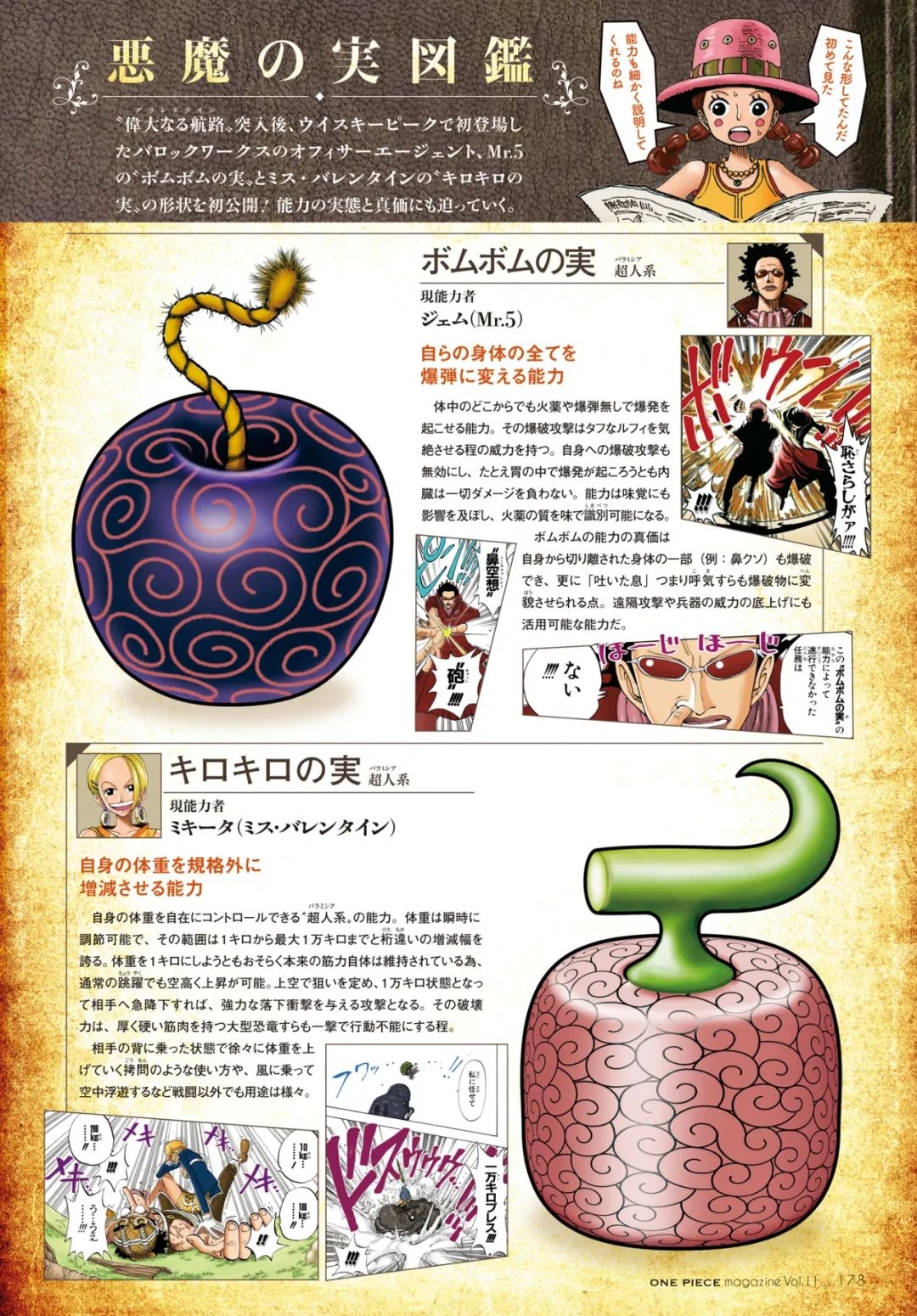 devil fruit picture book
