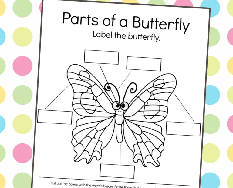 This Parts Of A Butterfly Worksheet Is Perfect For Your Life Cycle