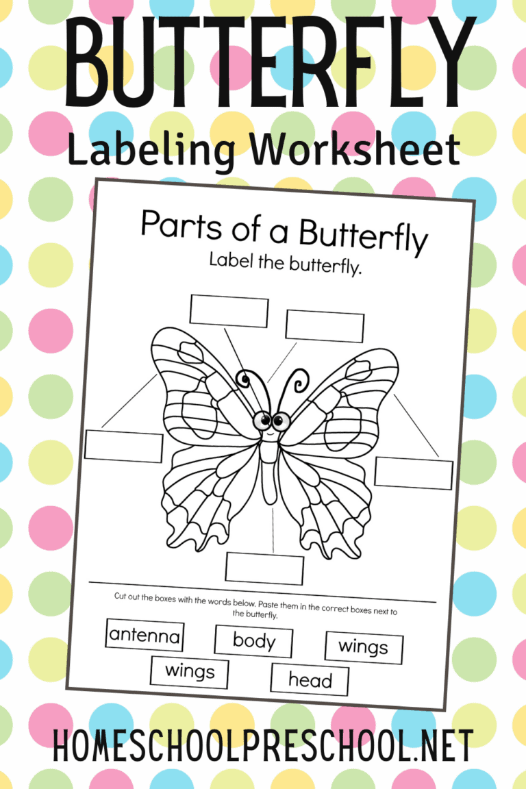 This Parts Of A Butterfly Worksheet Is Perfect For Your Life Cycle 