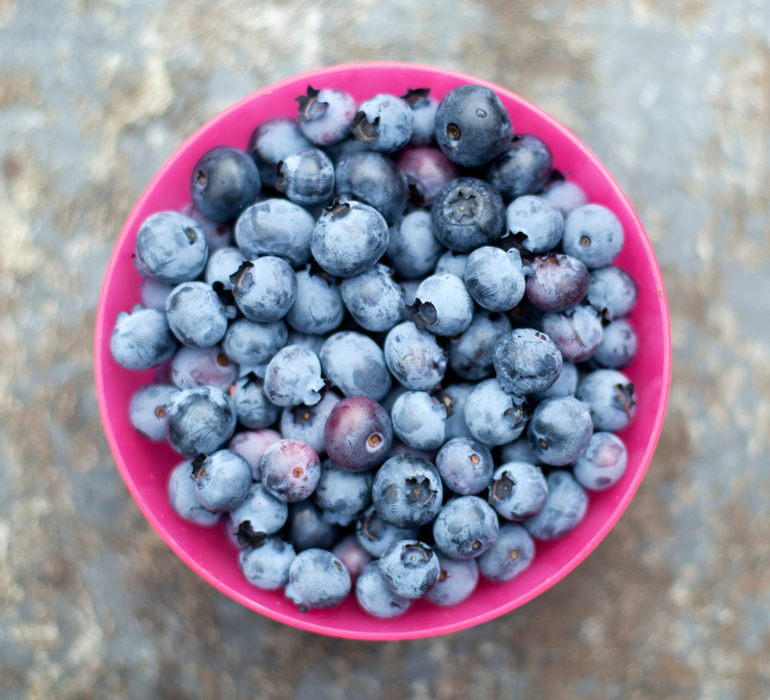 blueberry fruit picture
