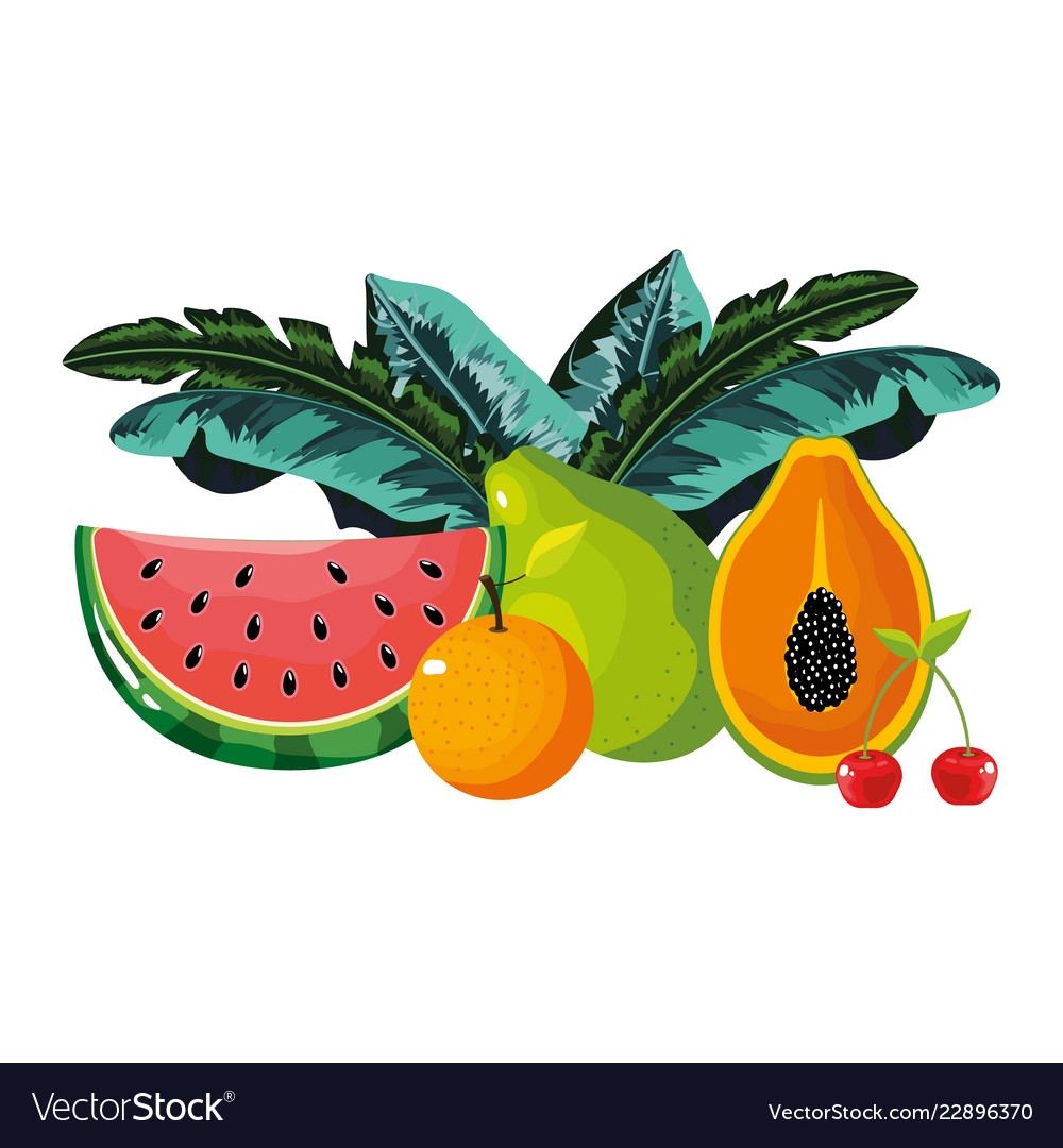 cartoon pictures of fruits
