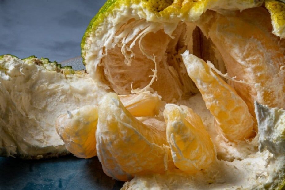Ugli Fruit Facts How To Grow An Ugli Fruit Tree Gardening Know How