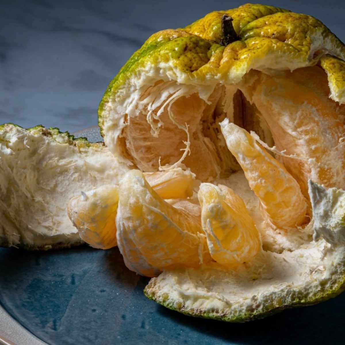 Ugli Fruit Facts How To Grow An Ugli Fruit Tree Gardening Know How