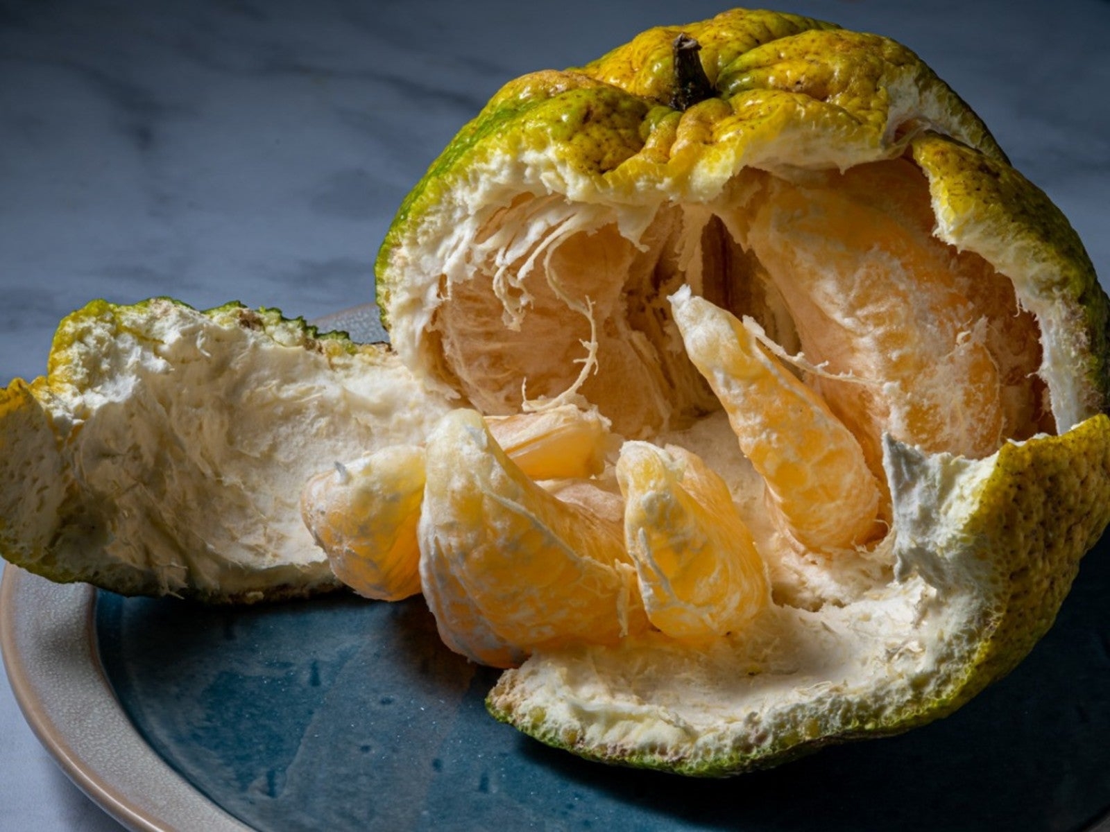Ugli Fruit Facts How To Grow An Ugli Fruit Tree Gardening Know How