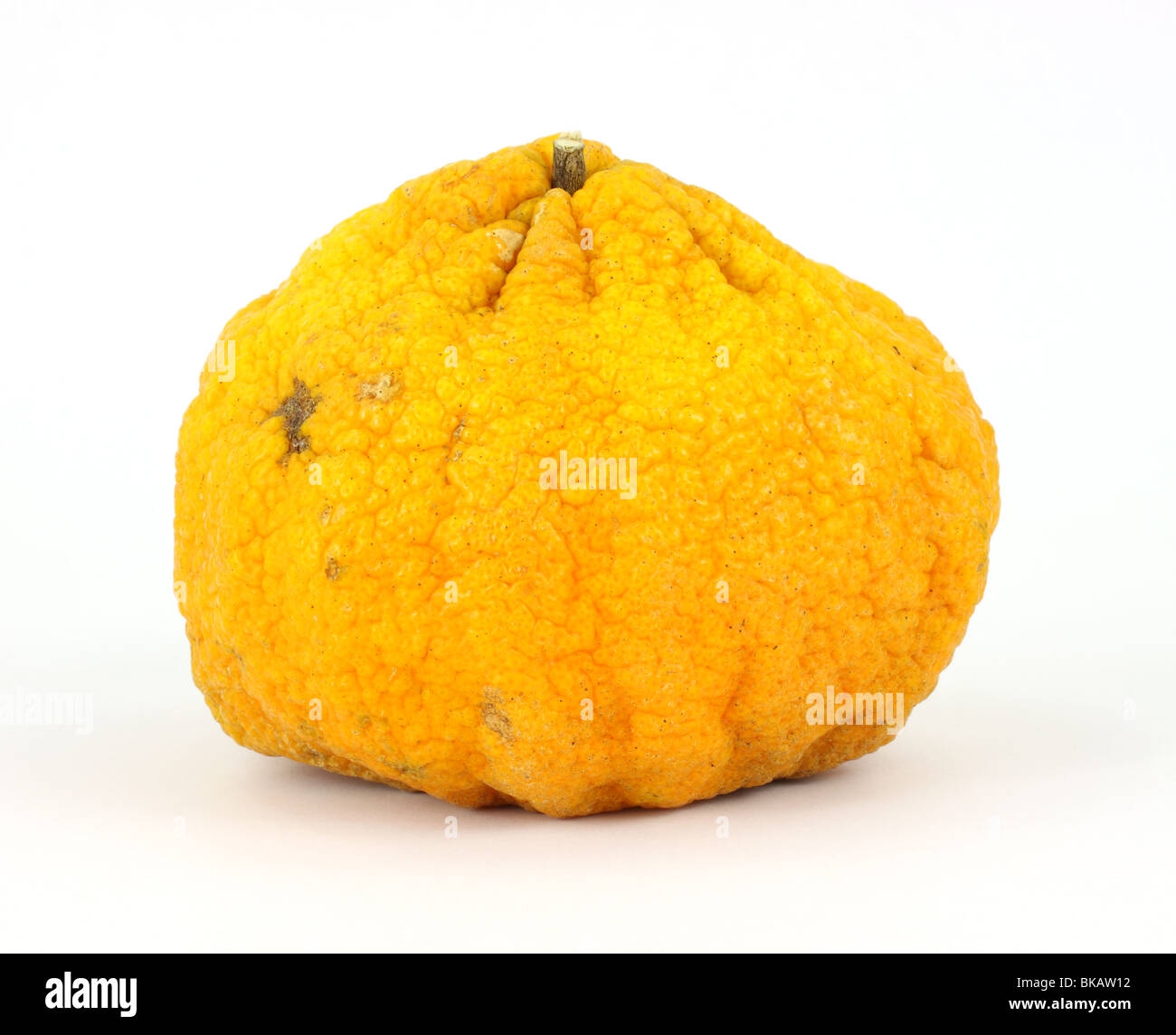 ugly fruit pictures