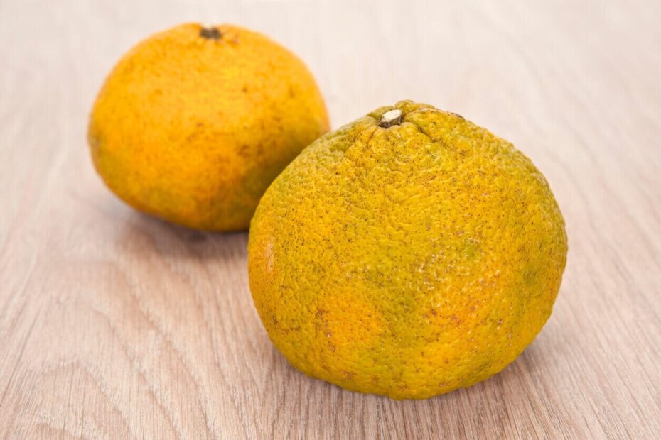 Ugly Fruit You ll Want To Eat Kellogg Garden Organics