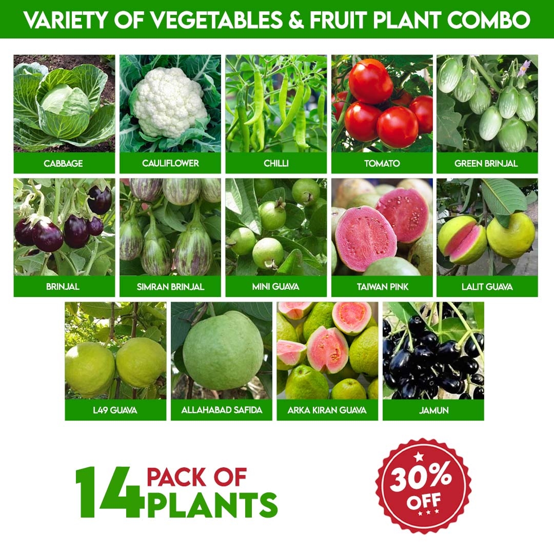 fruit plants names and pictures