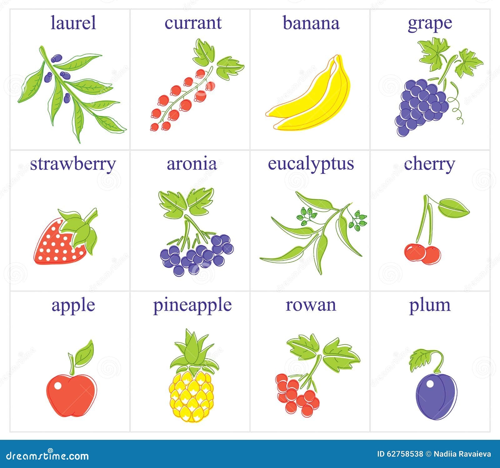 all type of fruits with picture