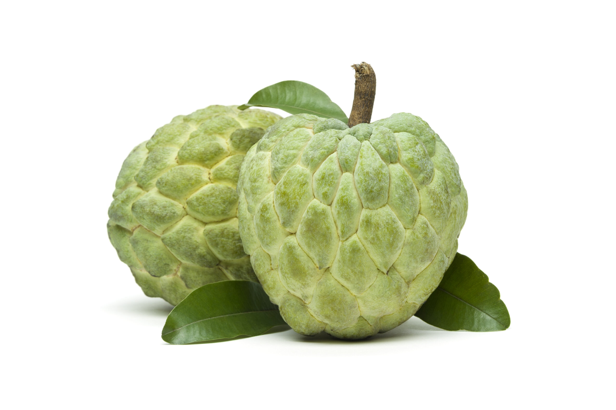 Vietnam Custard Apple 5 6Pcs Atis 3Kgs