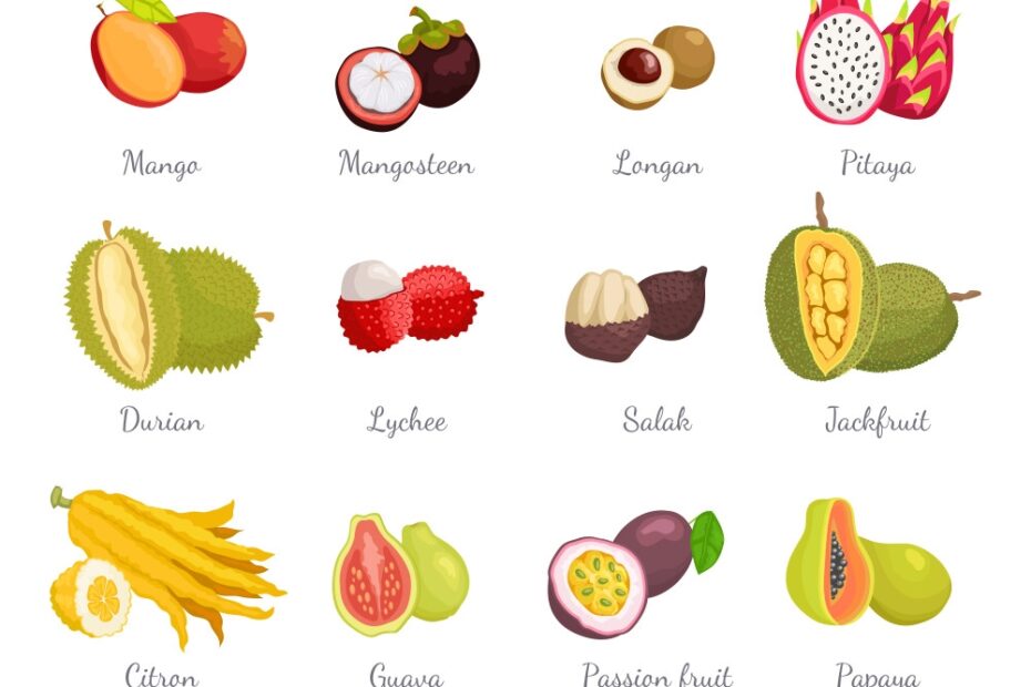 Vietnamese Tropical Fruits Royalty Free Vector Image