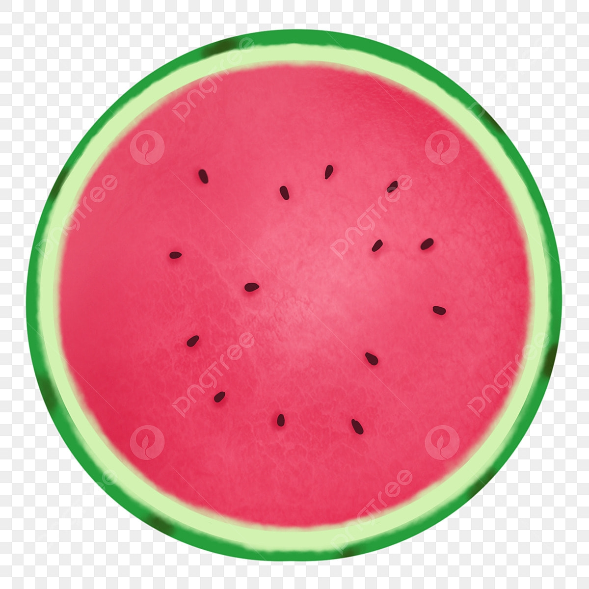 Watermelon Fruit Hd Transparent Summer Fruit Simulation 