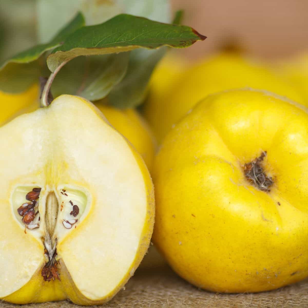 What Is Quince Fruit Ultimate Guide 