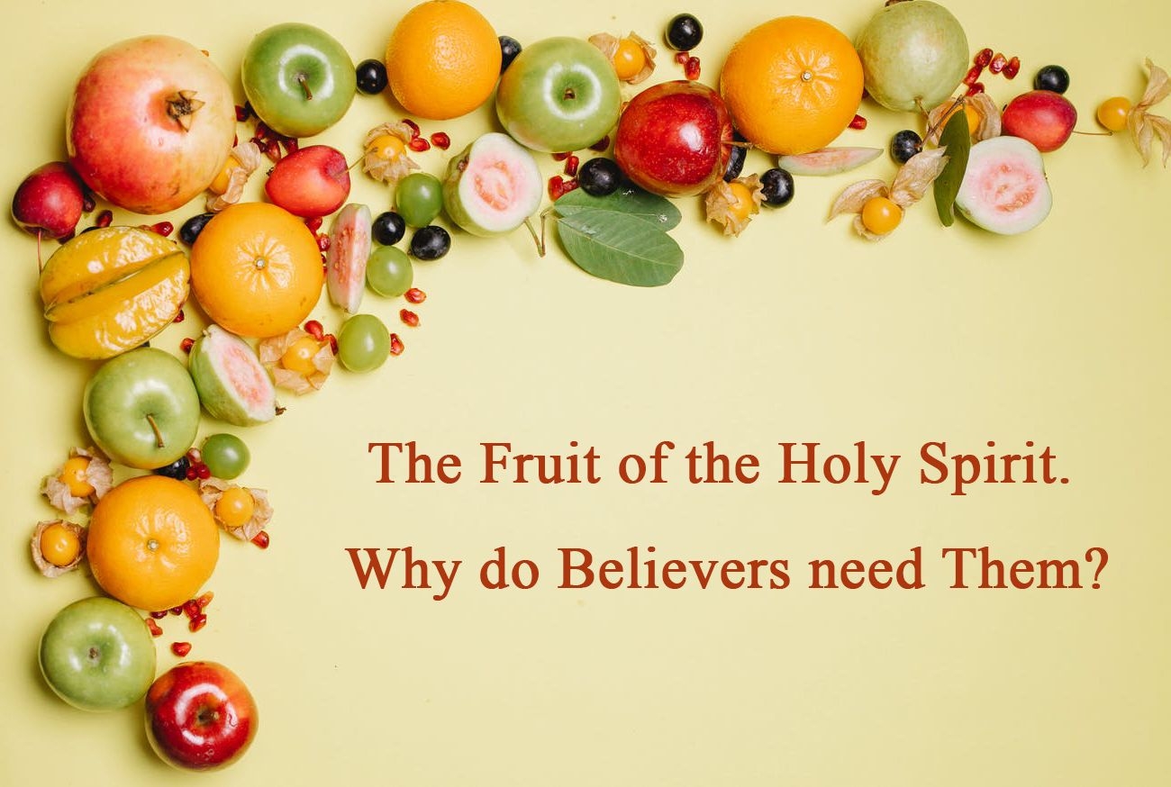 What Is The Fruit Of The Holy Spirit Why Do Believers Need The Fruit 